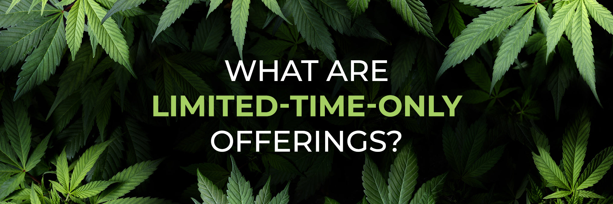 What are limited-time-only offerings?