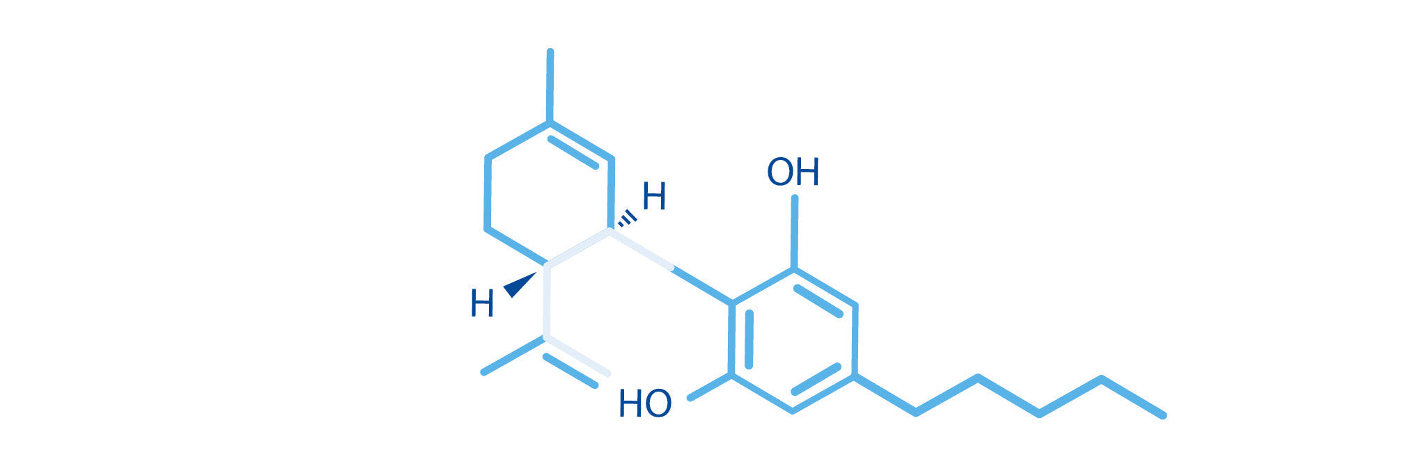 CBD 101