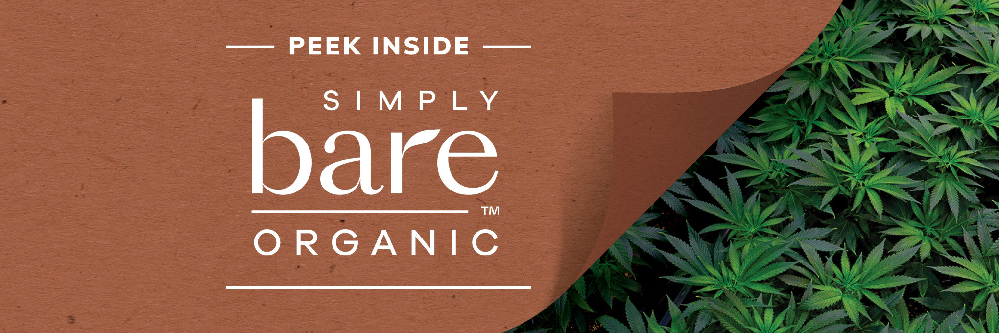 Peek Inside: Simply Bare Organic