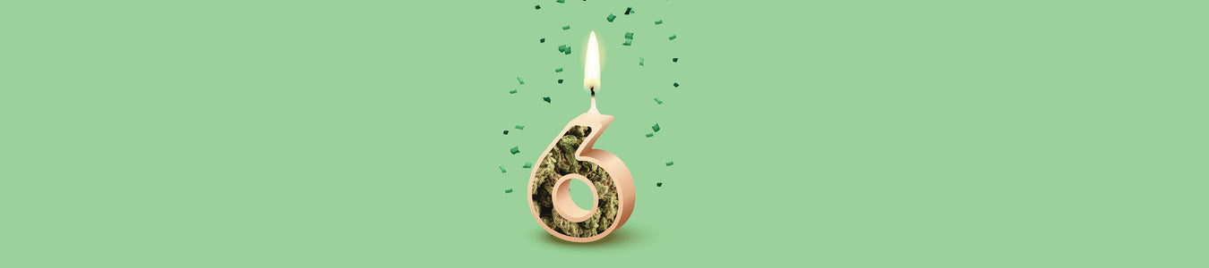 Cannaversary Sale