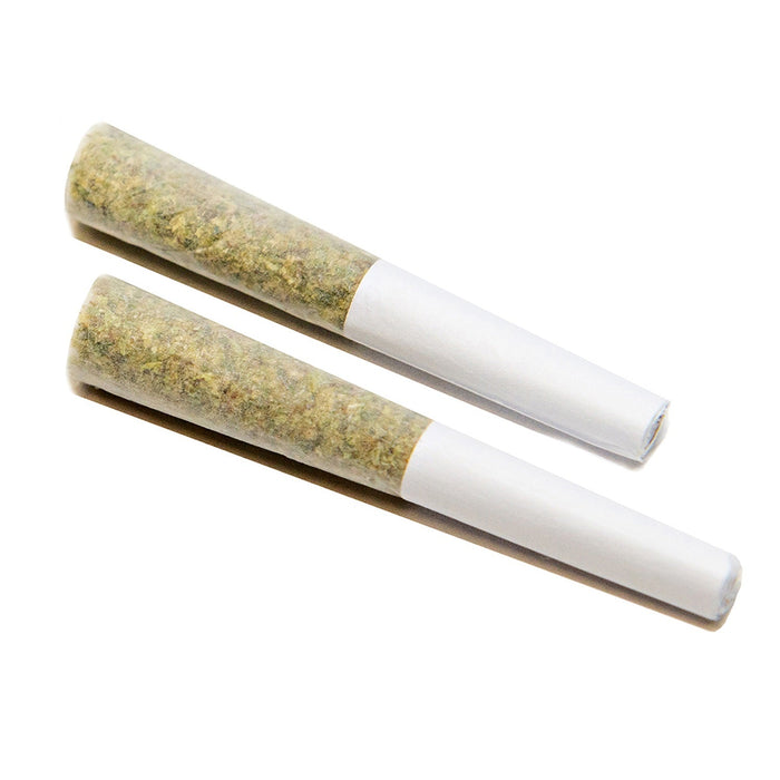 MANGO HAZE PRE-ROLLS