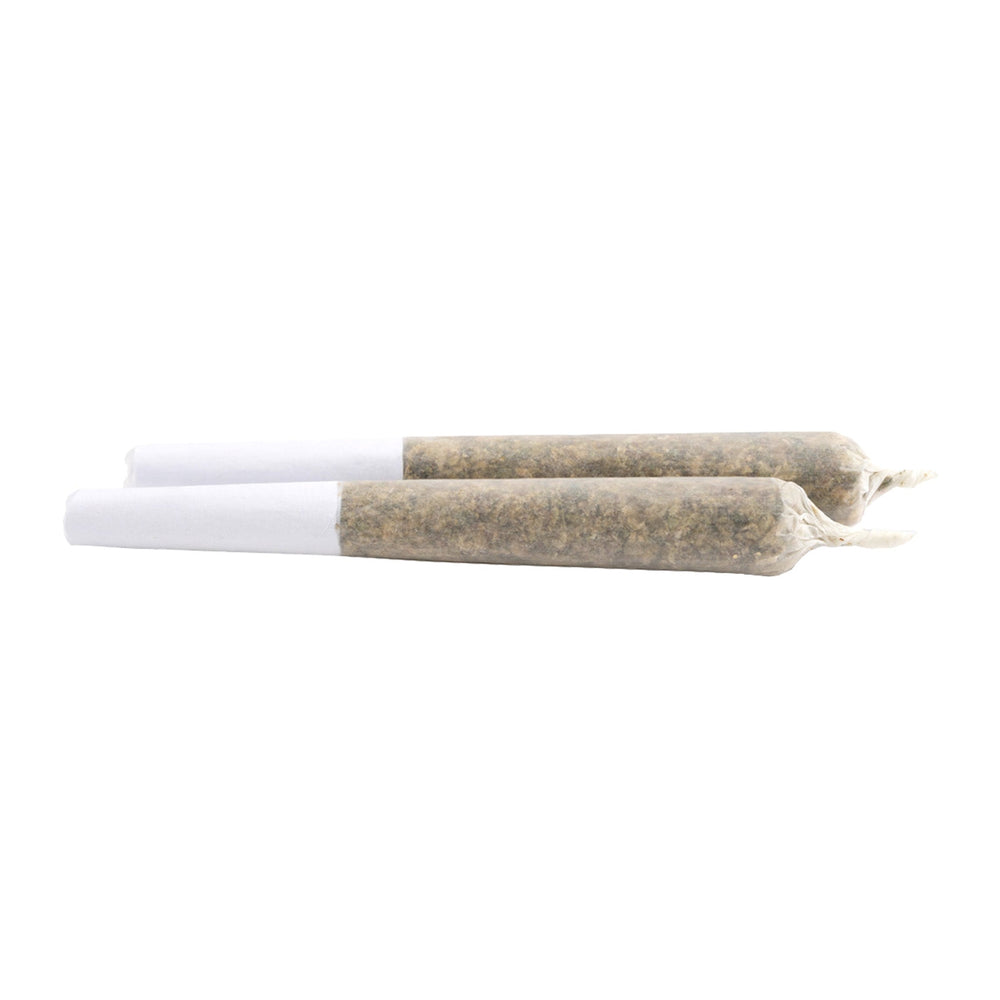 JACK HAZE PRE-ROLLS