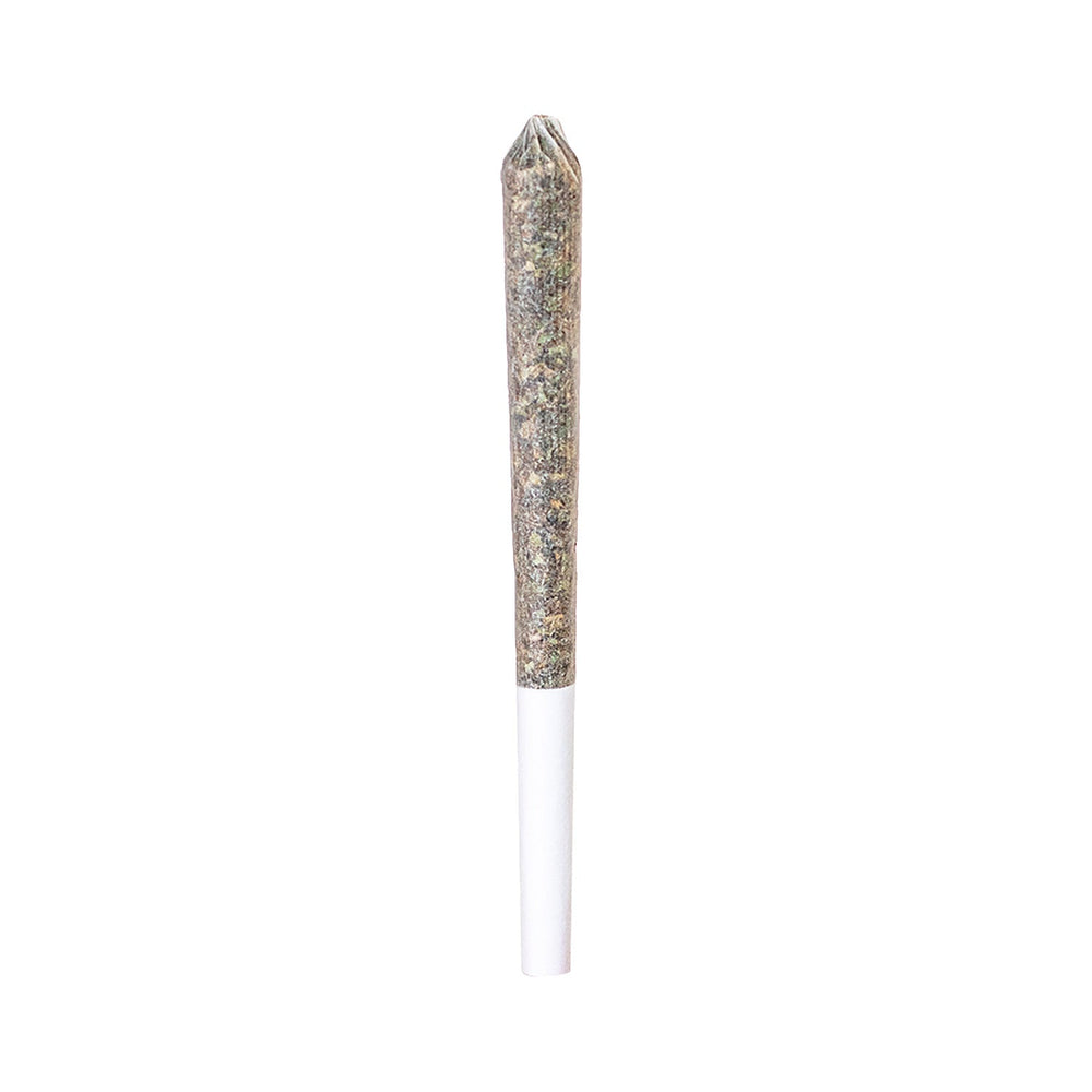 NORTHERN LIGHTS SINGLE PRE-ROLLS