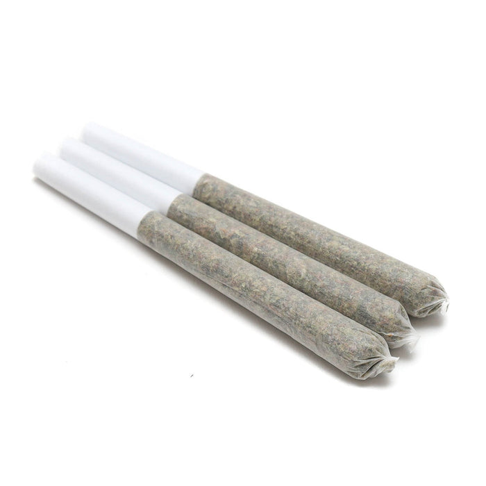 CINDERELLA 99 PRE-ROLLS