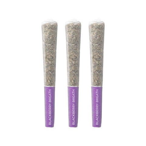 BLACKBERRY BREATH PRE-ROLL