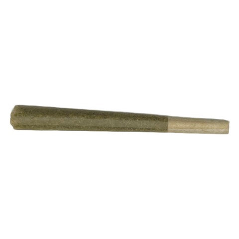 MACH 1 PRE-ROLLS