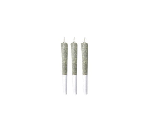 CITRIQUE PRE-ROLLS