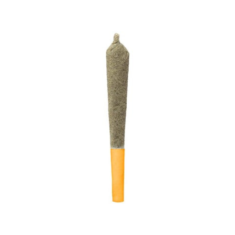 SMASHED ORANGE KIEF COATED INFUSED PRE-ROLLS