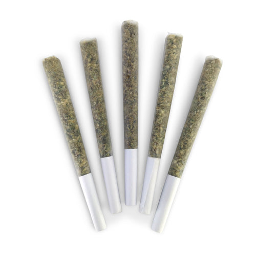 GASTOPIA PRE-ROLLS